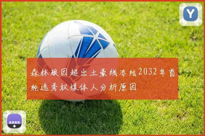 森林狼因超出土豪线冻结2032年首轮选秀权媒体人分析原因